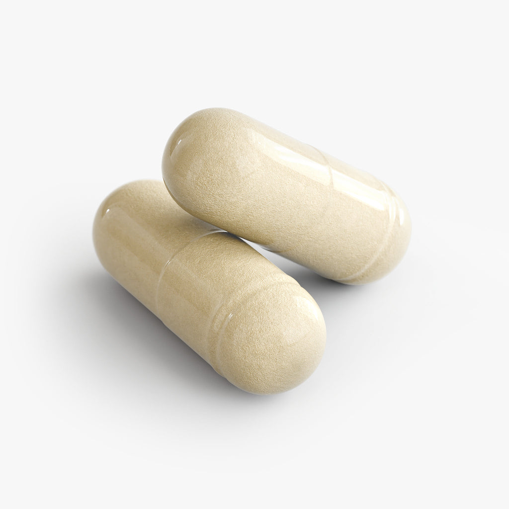 Gut Health Support for Active Recovery
